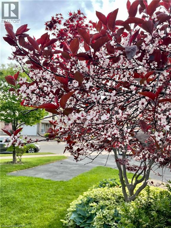 593 Southridge Drive, Hamilton, Ontario  L9C 7V8 - Photo 31 - 40819233