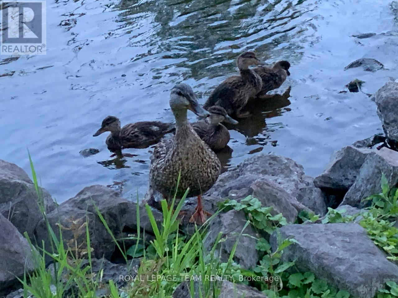 5492 West River Drive, Ottawa, Ontario  K4M 1G8 - Photo 40 - X12979340