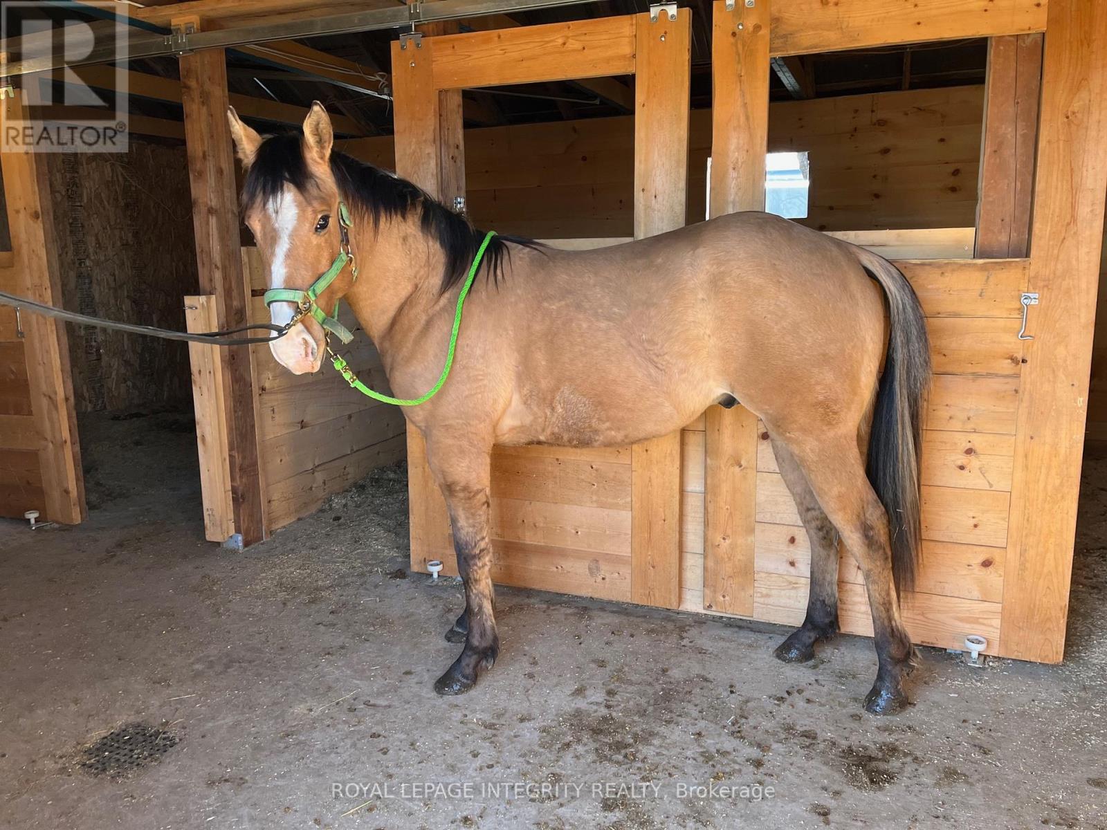 210 Wayside Drive, Drummond/north Elmsley, Ontario  K7H 3C8 - Photo 38 - X12979364