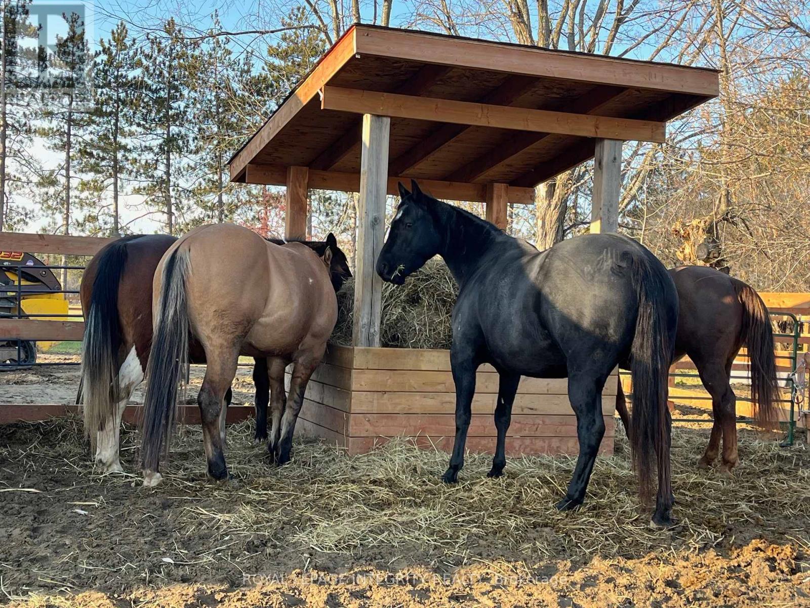 210 Wayside Drive, Drummond/north Elmsley, Ontario  K7H 3C8 - Photo 39 - X12979364