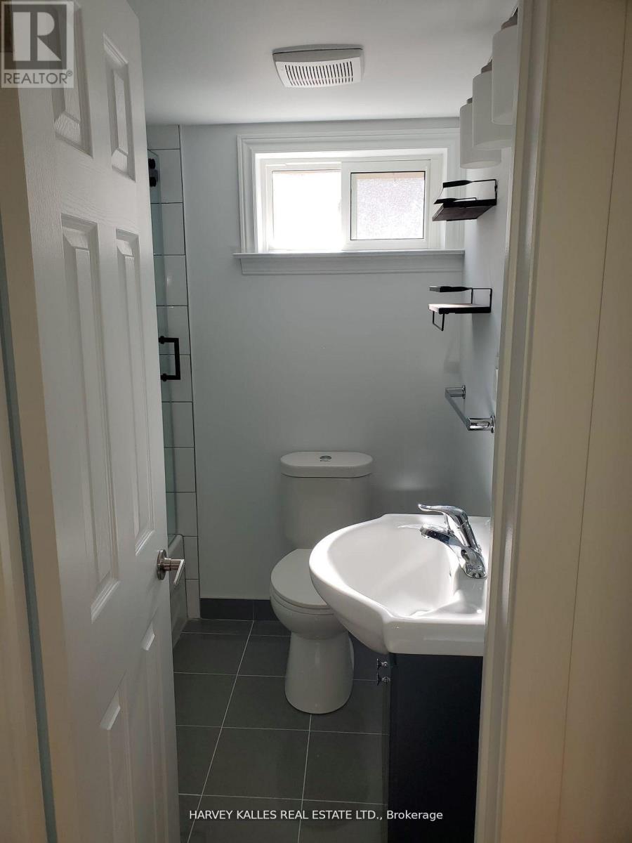 Lower - 347 Ella Court, Newmarket, Ontario  L3Y 4L6 - Photo 8 - N12979320