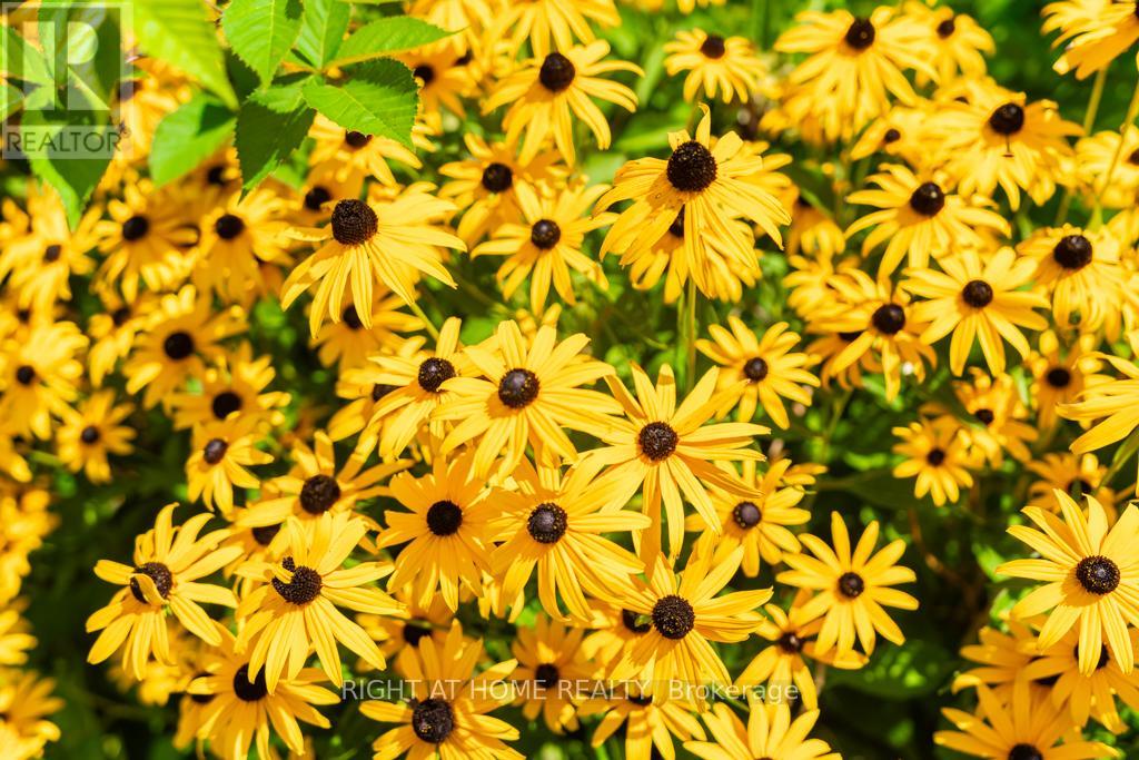 3300 Redmond Road, Mississauga, Ontario  L5B 3X1 - Photo 46 - W12979324