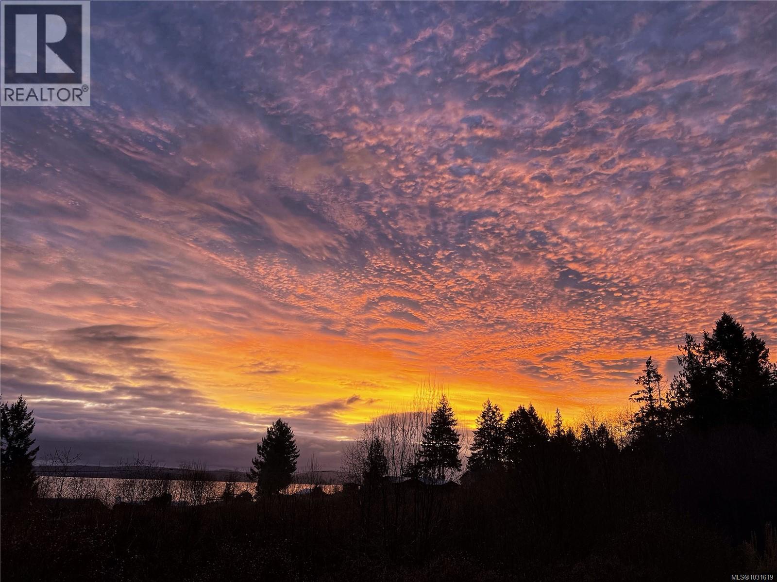 2580 Ingram Rd E, Ladysmith, British Columbia  V9G 1E4 - Photo 35 - 1031619