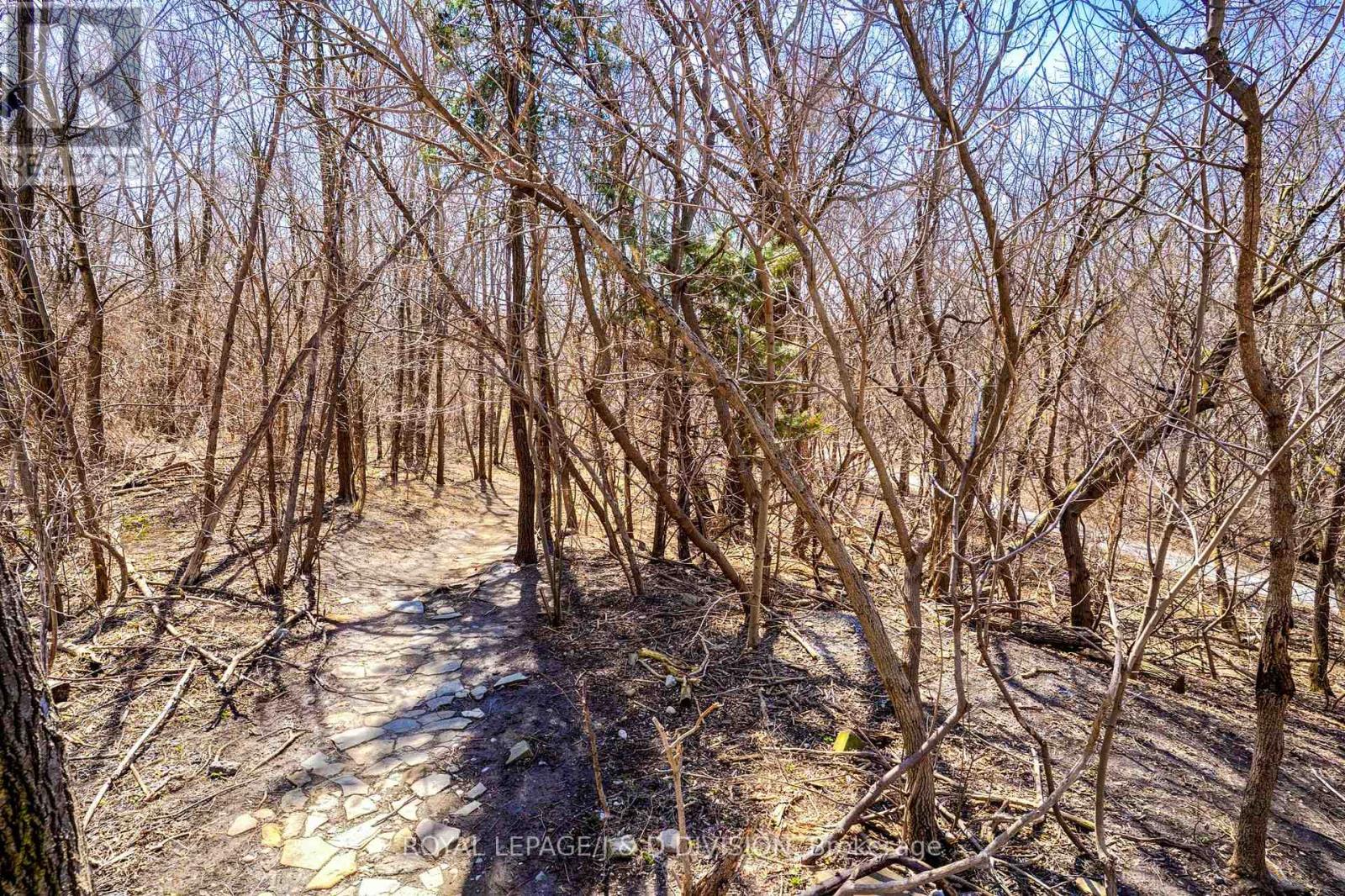 505 - 3 Hickory Tree Road, Toronto, Ontario  M9N 3W5 - Photo 37 - W12979588