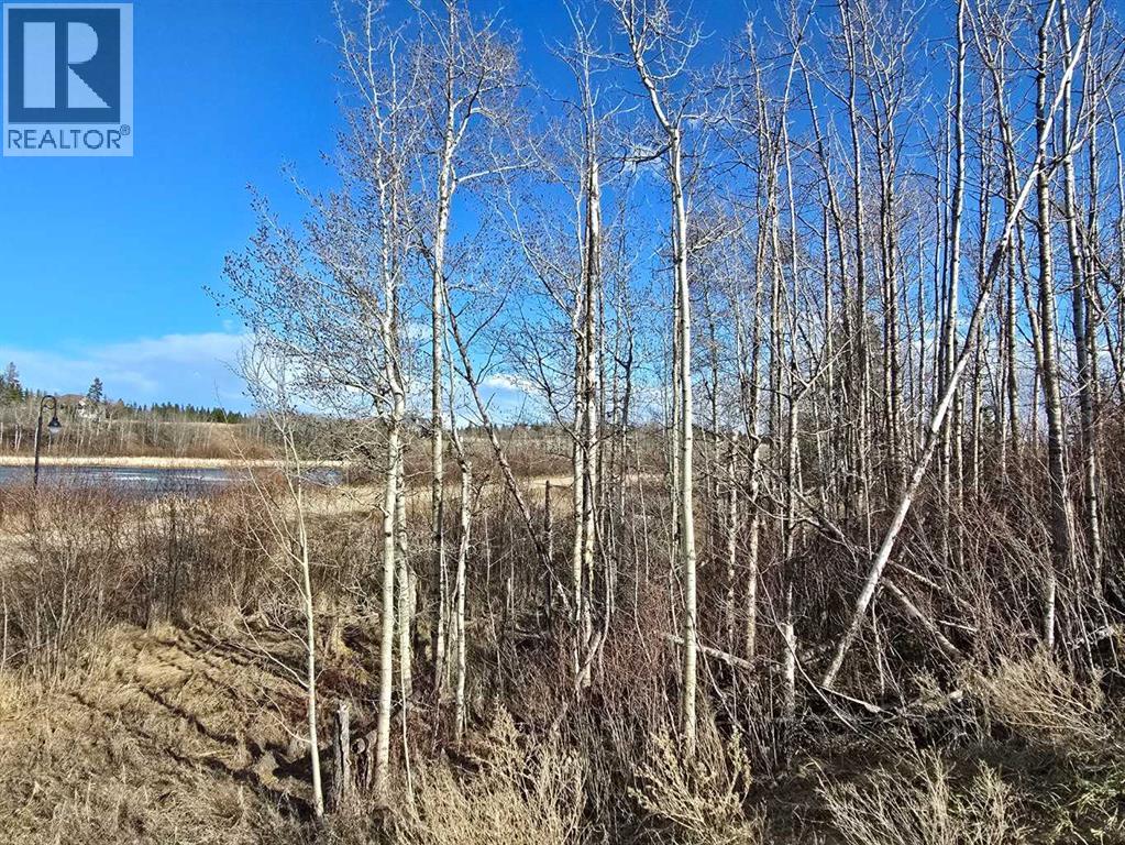 309 Wolf Run Drive, Rural Ponoka County, Alberta  T4J 0B3 - Photo 32 - A2194603