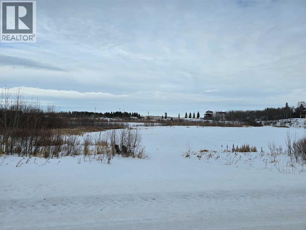 309 Wolf Run Drive, Rural Ponoka County, Alberta  T4J 0B3 - Photo 28 - A2194603