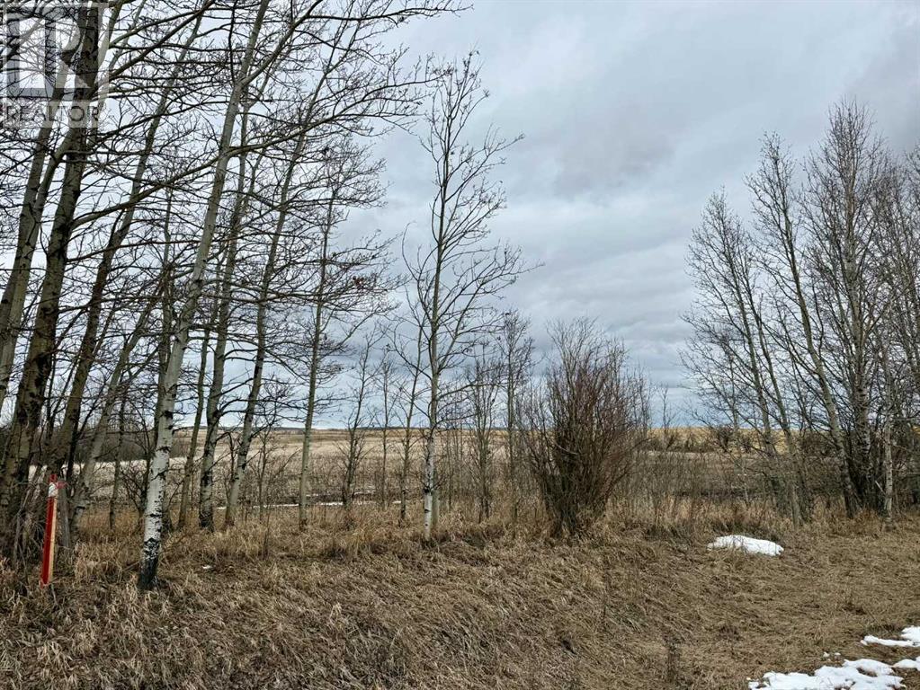 Rr 35 North Of Twp 304, Rural Mountain View County, Alberta  T0M 0R0 - Photo 7 - A2300182