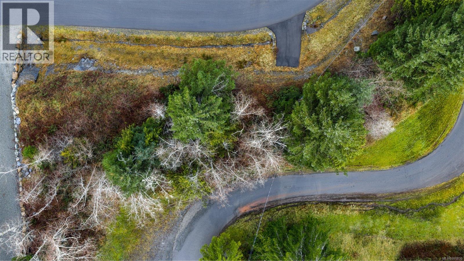 16911 Beachview Dr, Port Renfrew, British Columbia  V0S 1K0 - Photo 21 - 995838