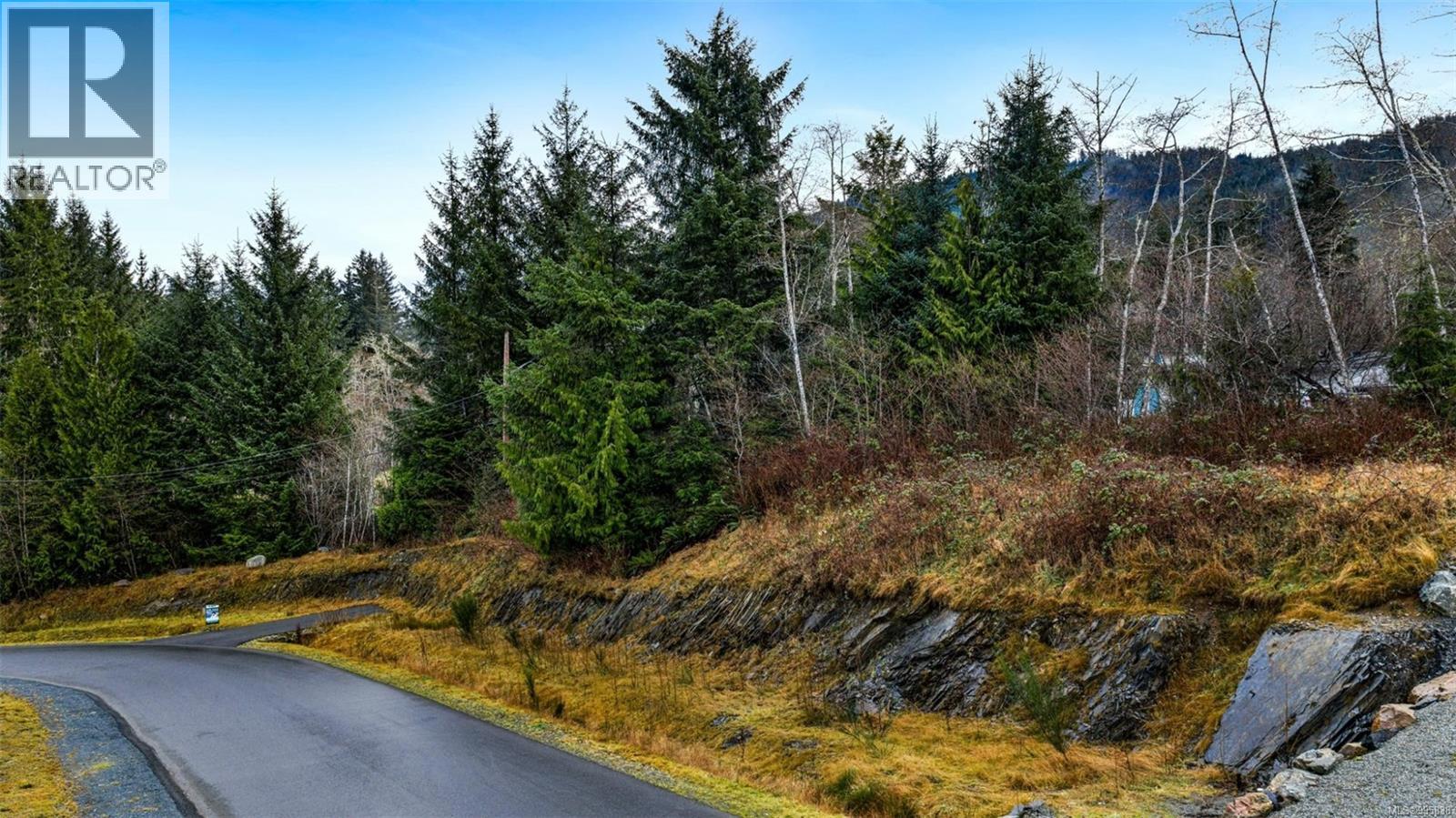16911 Beachview Dr, Port Renfrew, British Columbia  V0S 1K0 - Photo 29 - 995838