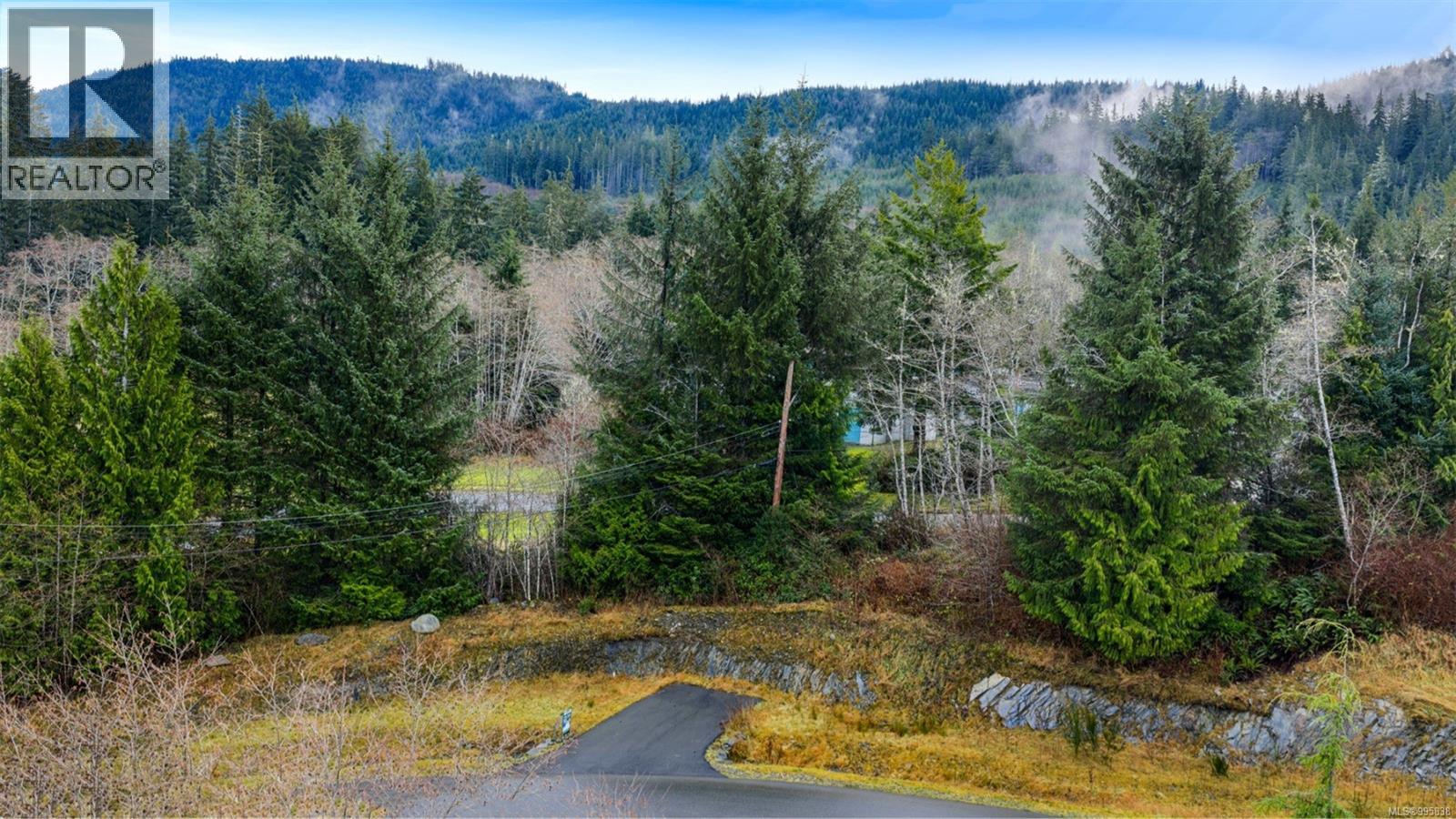 16911 Beachview Dr, Port Renfrew, British Columbia  V0S 1K0 - Photo 9 - 995838