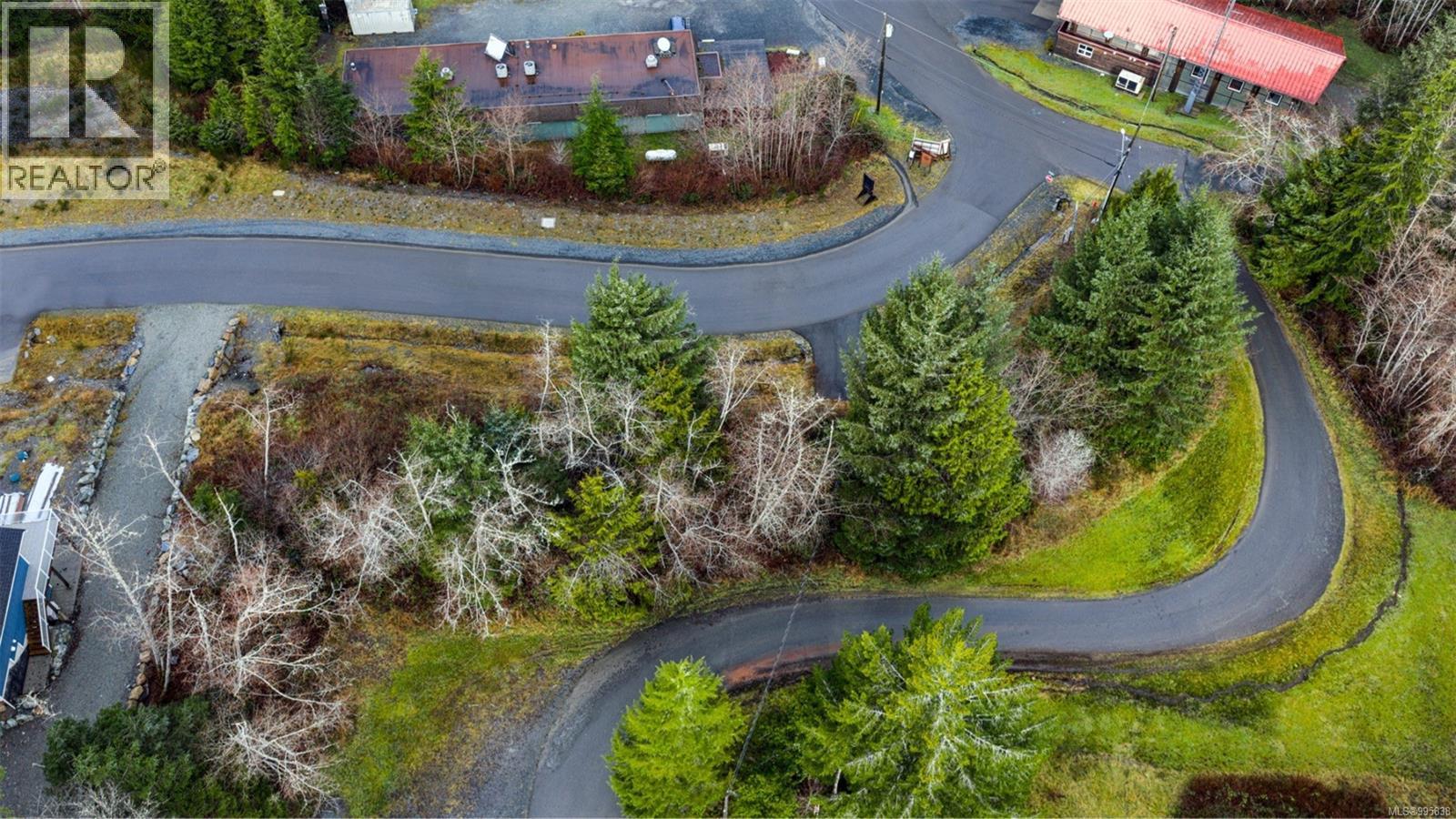 16911 Beachview Dr, Port Renfrew, British Columbia  V0S 1K0 - Photo 2 - 995838