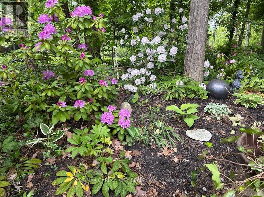 51 Park Road S, Grimsby, Ontario  L3M 4E7 - Photo 42 - X12979758