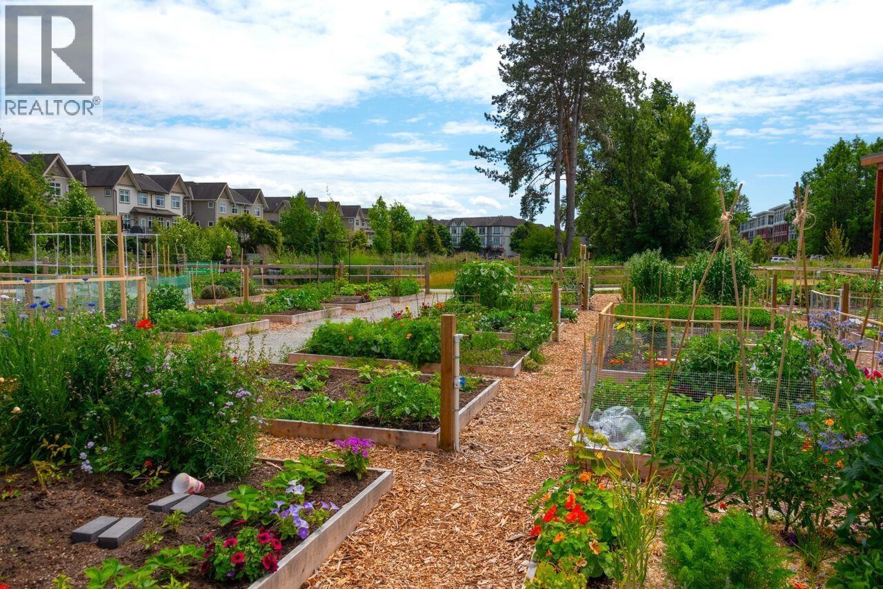 429 9500 Odlin Road, Richmond, British Columbia  V6X 0H5 - Photo 31 - R3109518