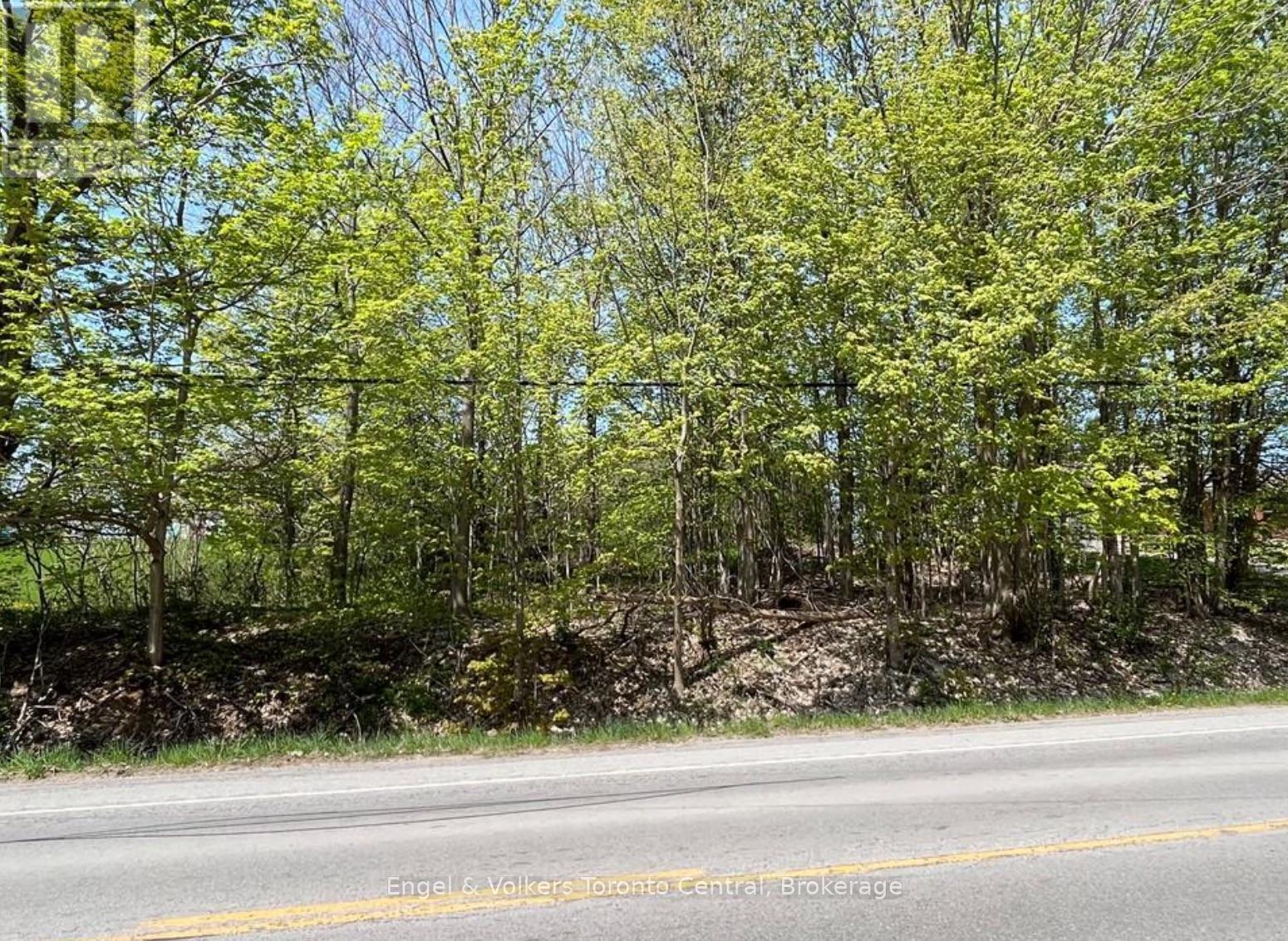 Part Lot 31 1 Grey Road, Georgian Bluffs, Ontario  N0H 1S0 - Photo 5 - X12979852