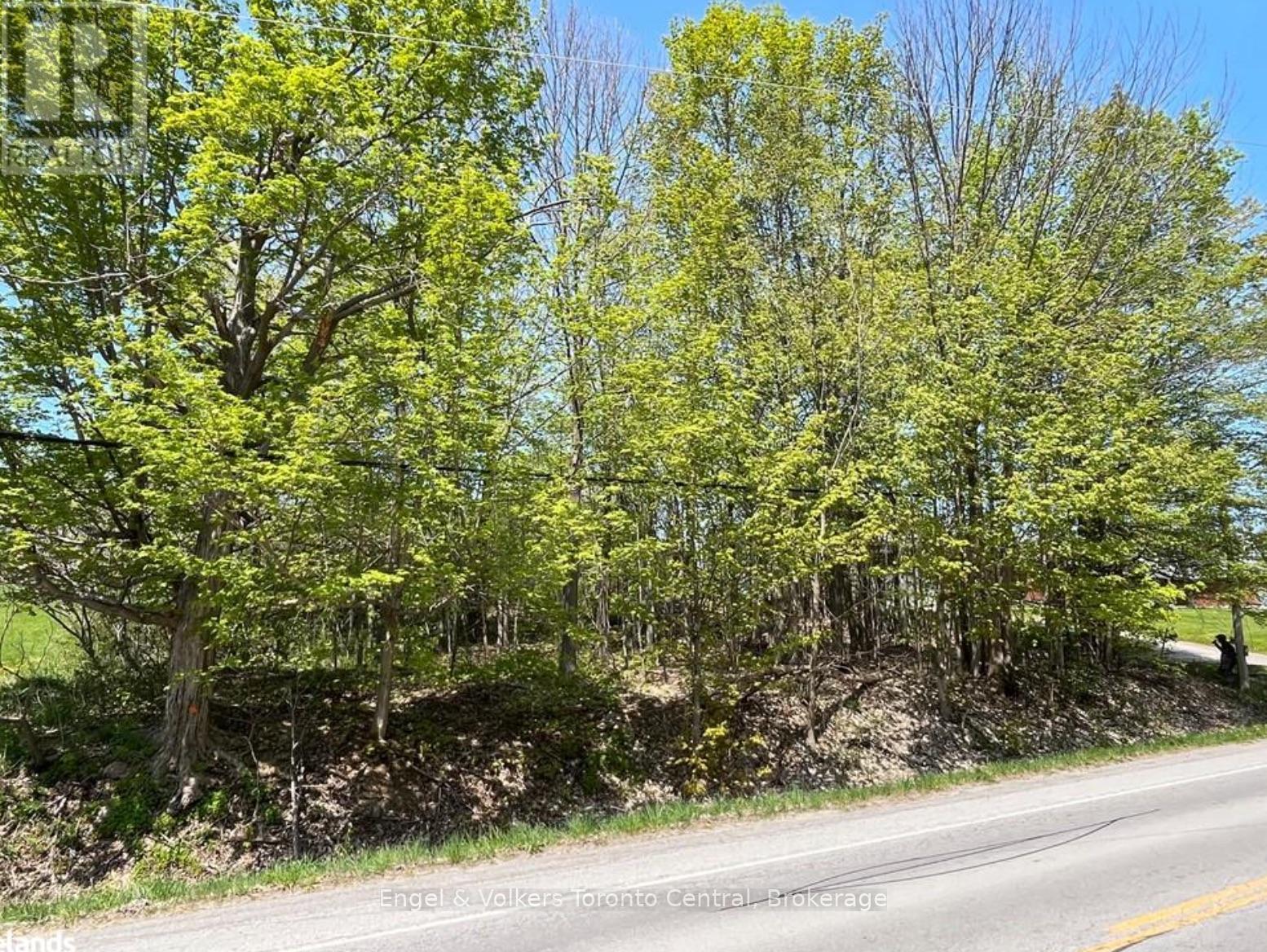 Part Lot 31 1 Grey Road, Georgian Bluffs, Ontario  N0H 1S0 - Photo 6 - X12979852