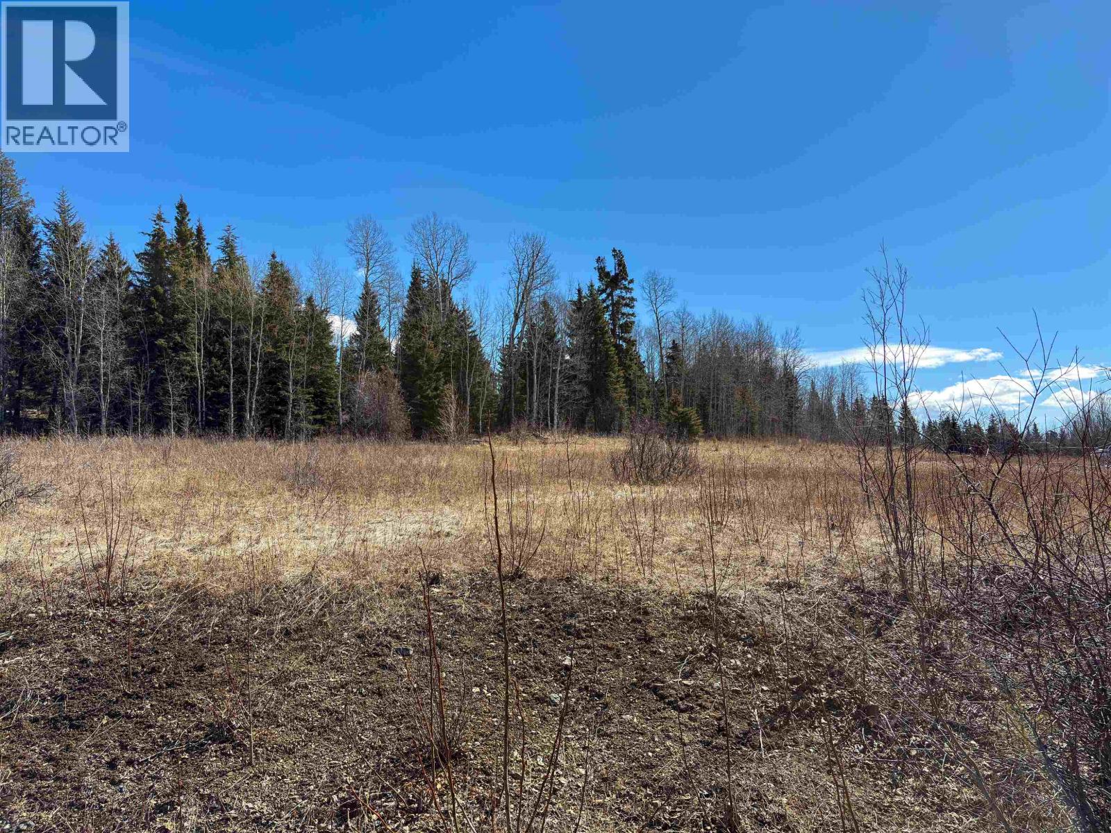 Lot 12 Mccarthy Road, Bridge Lake, British Columbia  V0K 1E0 - Photo 6 - R3103254
