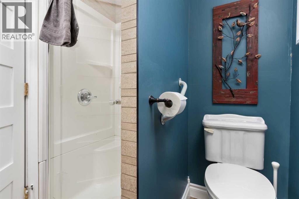 5037 52 Street, Daysland, Alberta  T0B 1A0 - Photo 13 - A2297393