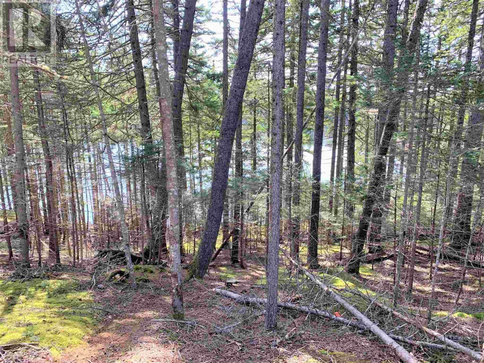 Lakelands Road, Lakelands, Nova Scotia  B0M 1S0 - Photo 6 - 202606735