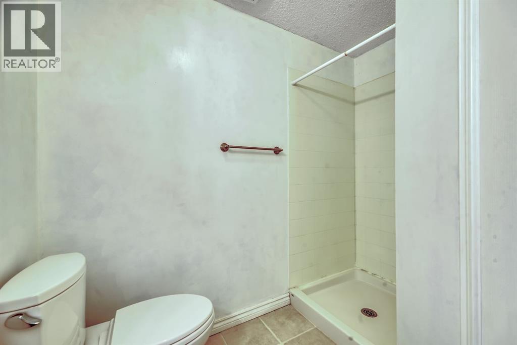 446 Crystalridge Terrace, Okotoks, Alberta  T1S 1W6 - Photo 31 - A2298645