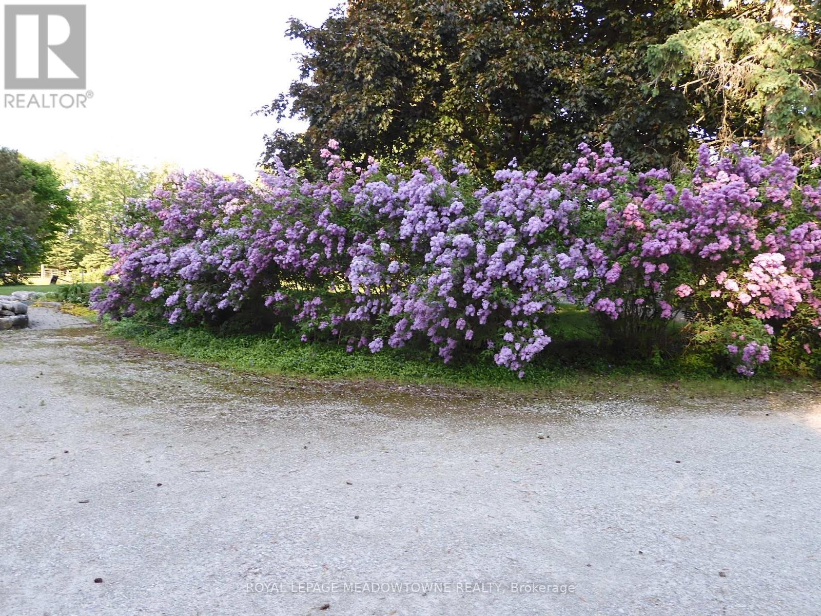 6824 10th Line, New Tecumseth, Ontario  L0G 1A0 - Photo 35 - N12685204