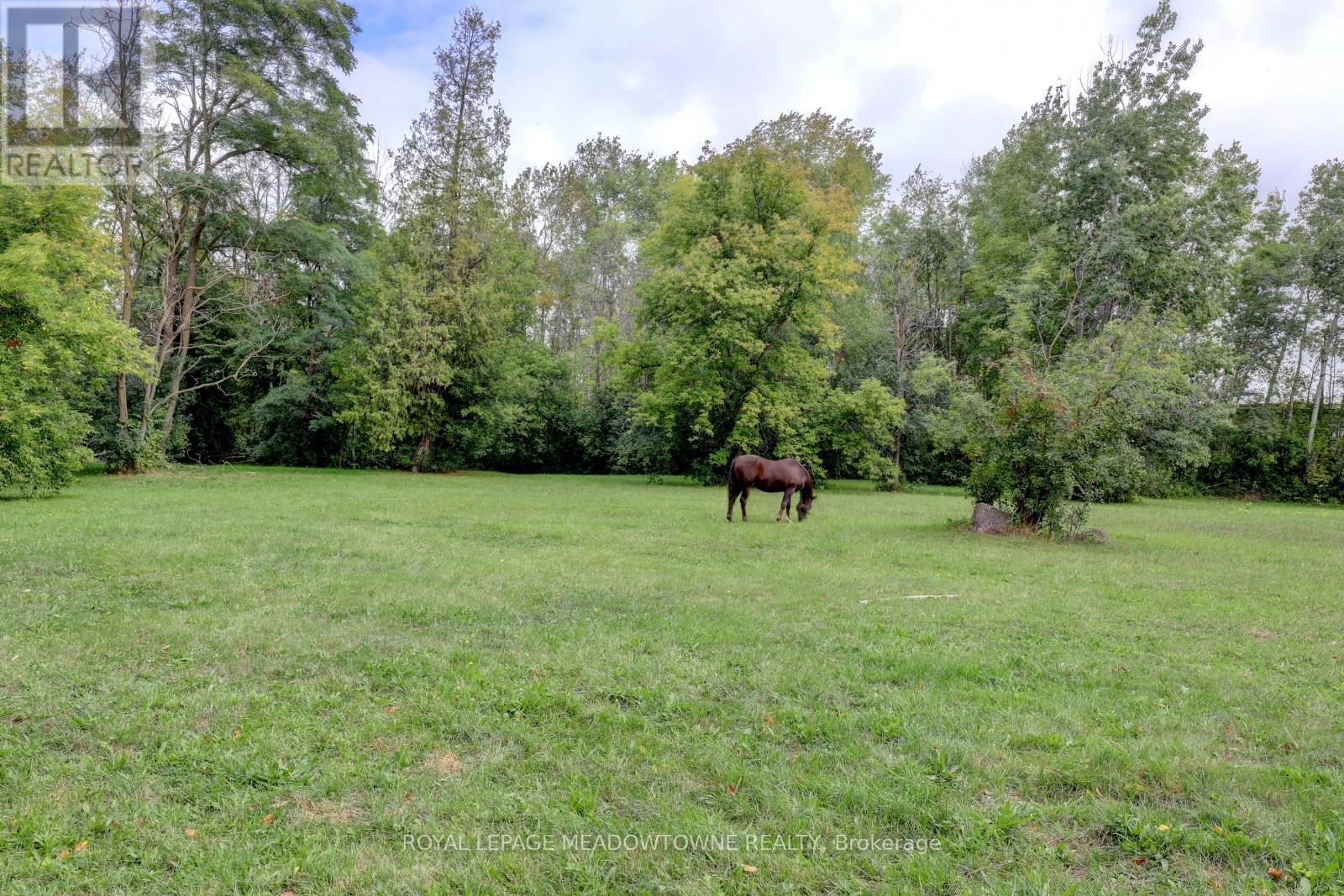 6824 10th Line, New Tecumseth, Ontario  L0G 1A0 - Photo 7 - N12685204