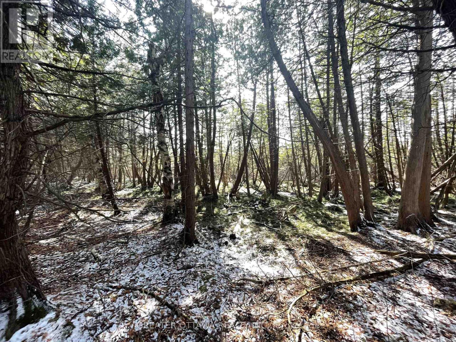 686 John Kennedy Way N, Ottawa, Ontario  K0A 1A0 - Photo 20 - X12980124