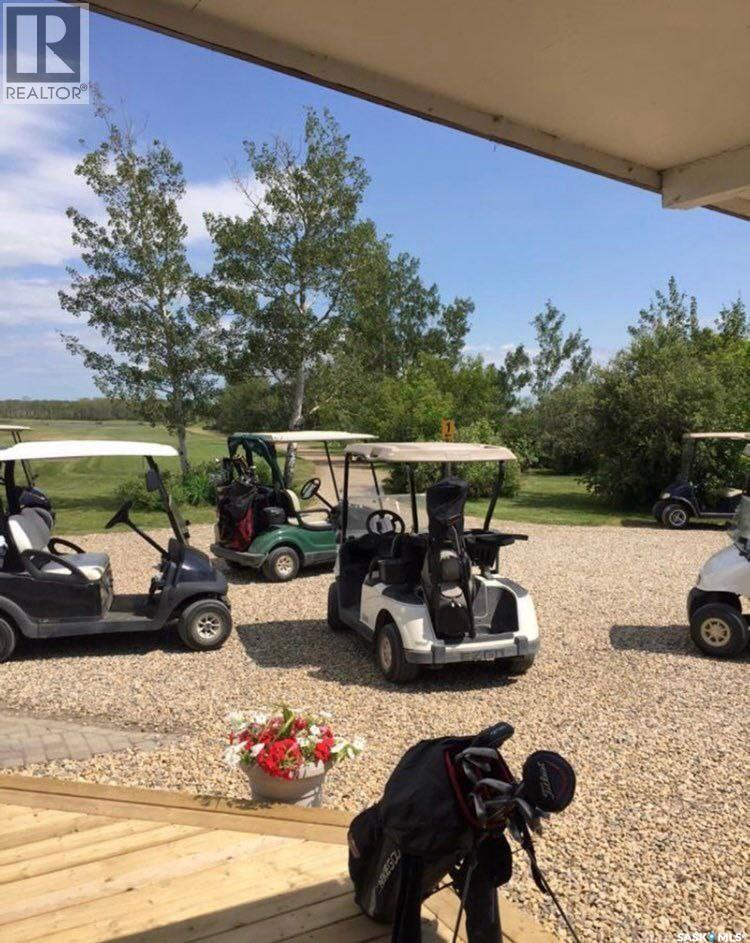 Leslie Beach /  Chorney Beach, Foam Lake Rm No. 276, Saskatchewan  S0K 0A0 - Photo 6 - SK032534