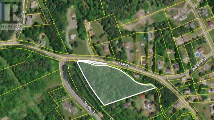 1 Mill Street, Mulgrave, Nova Scotia  B0E 2G0 - Photo 1 - 202526015