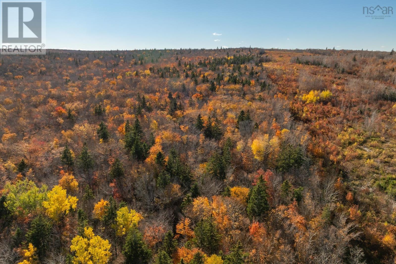 1 Tracadie Road, Mulgrave, Nova Scotia  B0E 2G0 - Photo 10 - 202526014