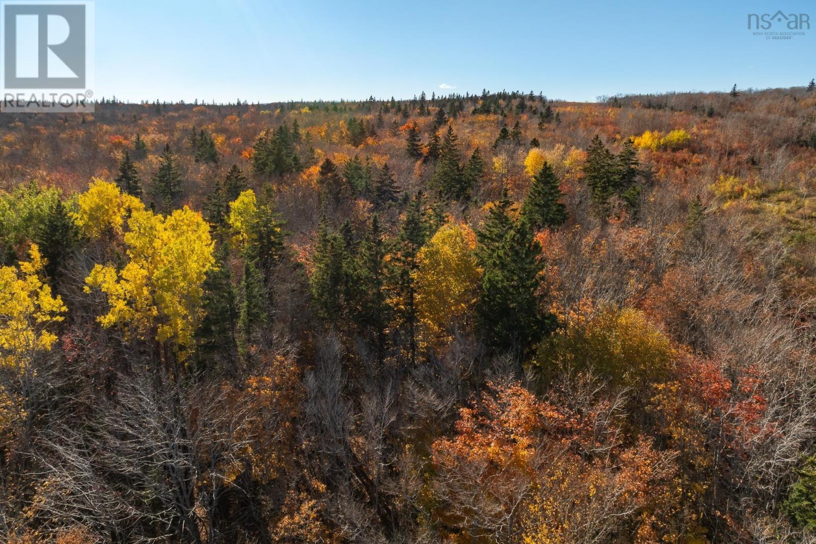 1 Tracadie Road, Mulgrave, Nova Scotia  B0E 2G0 - Photo 12 - 202526014