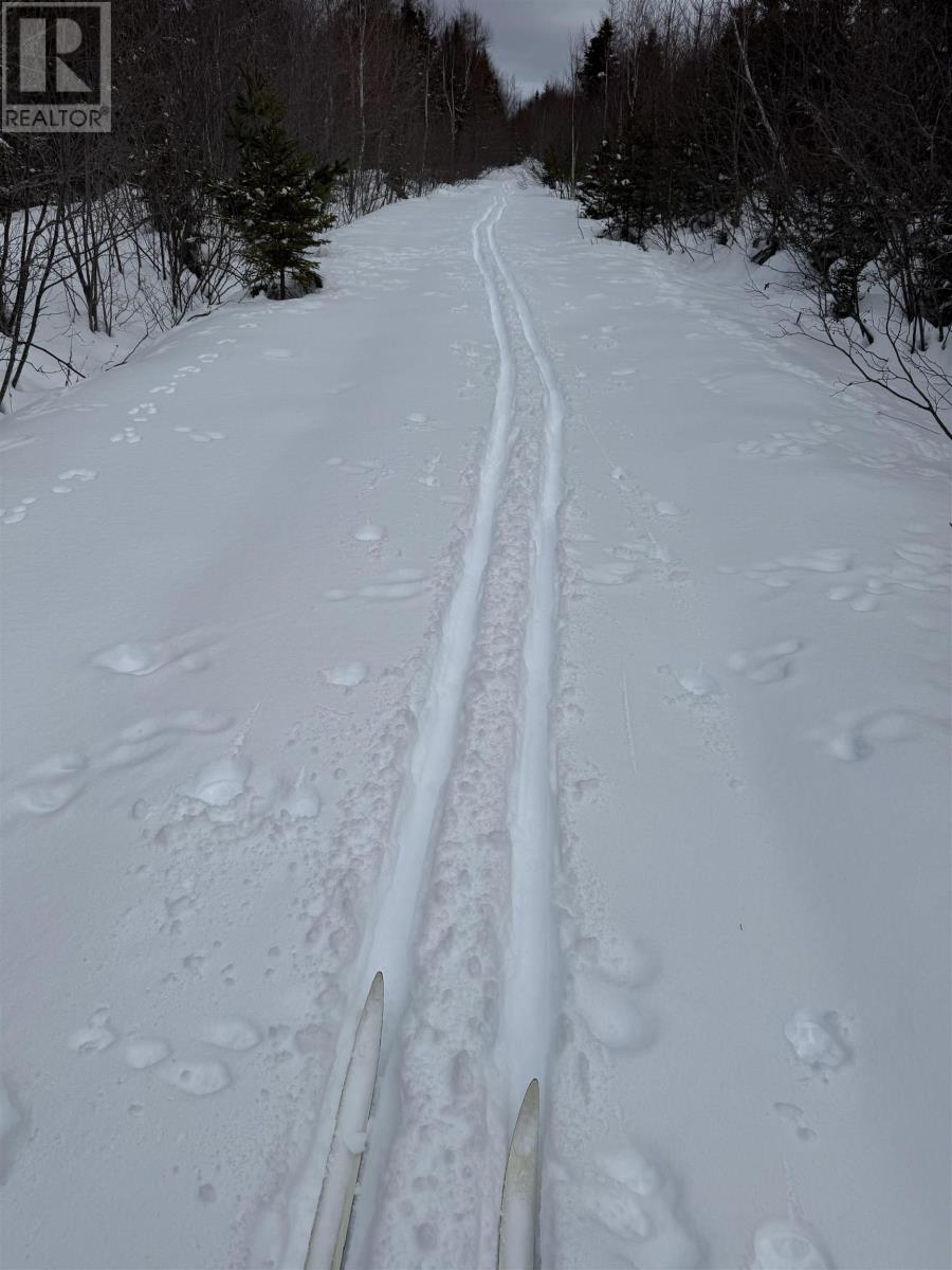1 Barren Road, Seal Cove, Nova Scotia  B0E 2K0 - Photo 14 - 202526936