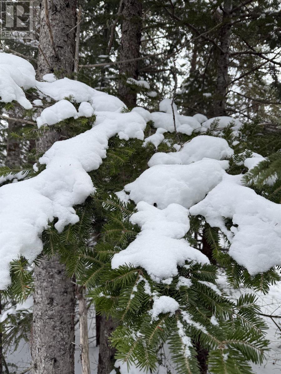 1 Barren Road, Seal Cove, Nova Scotia  B0E 2K0 - Photo 12 - 202526936