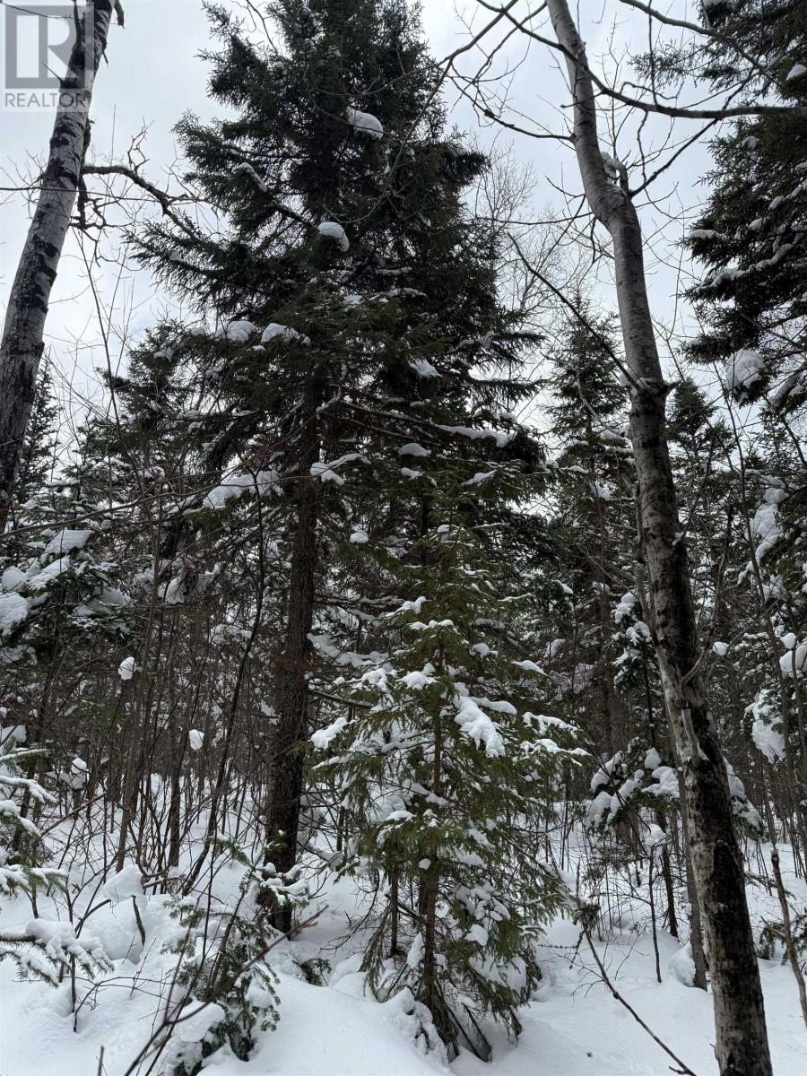 1 Barren Road, Seal Cove, Nova Scotia  B0E 2K0 - Photo 4 - 202526936