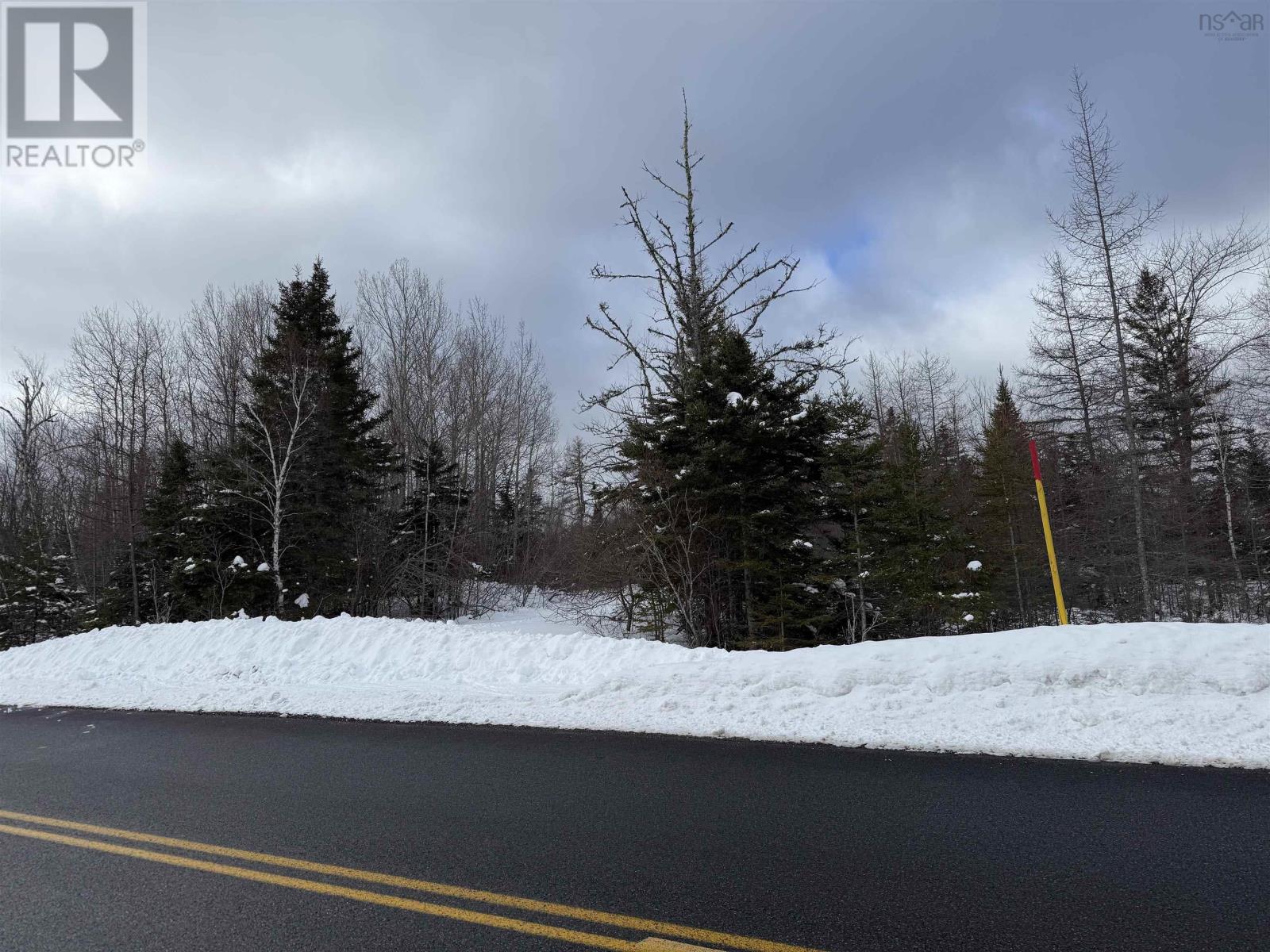 1 Barren Road, Seal Cove, Nova Scotia  B0E 2K0 - Photo 15 - 202526936