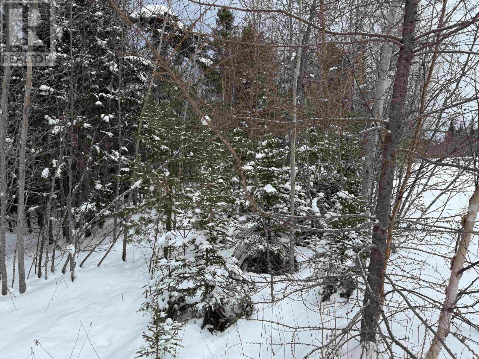 1 Barren Road, Seal Cove, Nova Scotia  B0E 2K0 - Photo 7 - 202526936