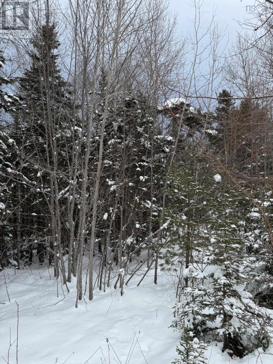 1 Barren Road, Seal Cove, Nova Scotia  B0E 2K0 - Photo 6 - 202526936
