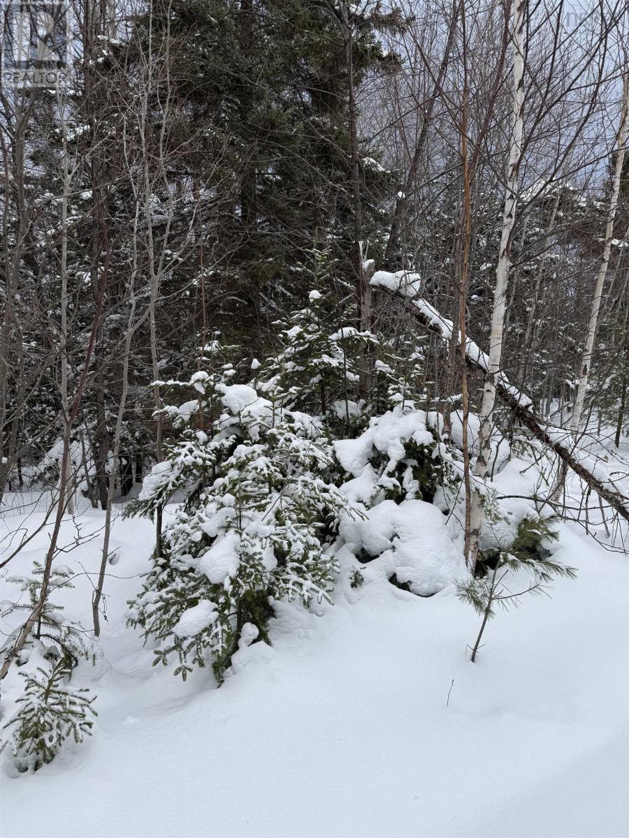 1 Barren Road, Seal Cove, Nova Scotia  B0E 2K0 - Photo 9 - 202526936