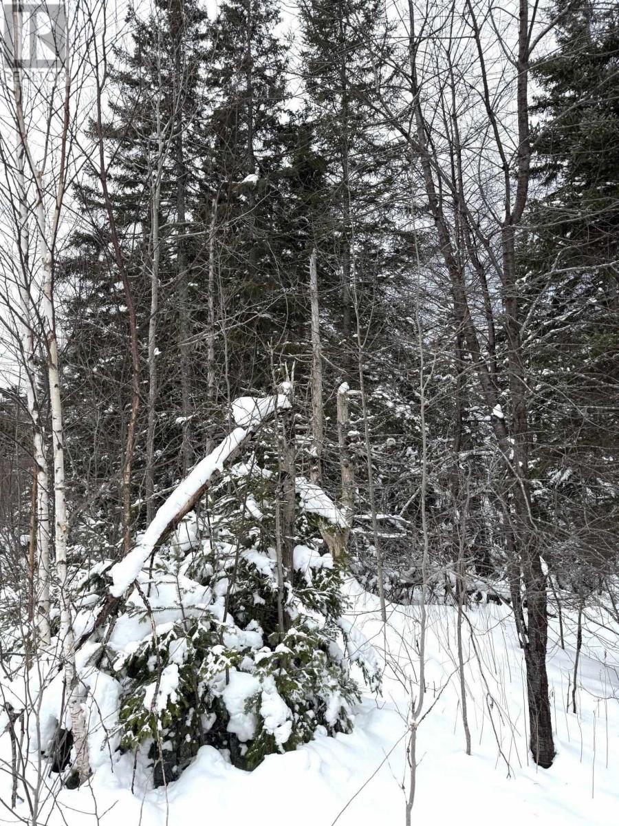 1 Barren Road, Seal Cove, Nova Scotia  B0E 2K0 - Photo 8 - 202526936