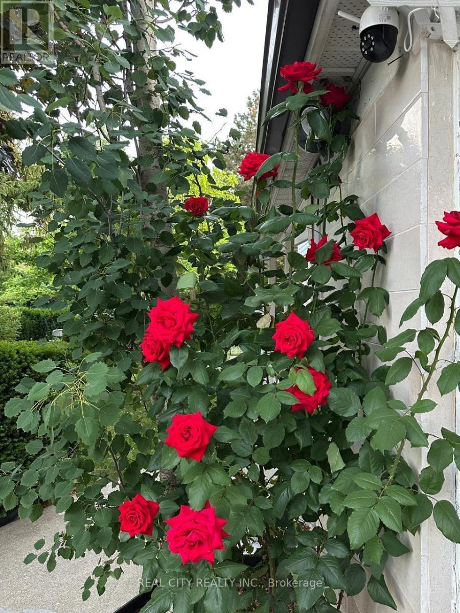 Lower - 2451 Loanne Drive, Mississauga (Sheridan), Ontario  L5K 1P1 - Photo 10 - W12980204