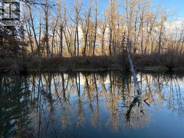 8520 48 Avenue Nw, Calgary, Alberta  T3B 2A6 - Photo 4 - A2298895