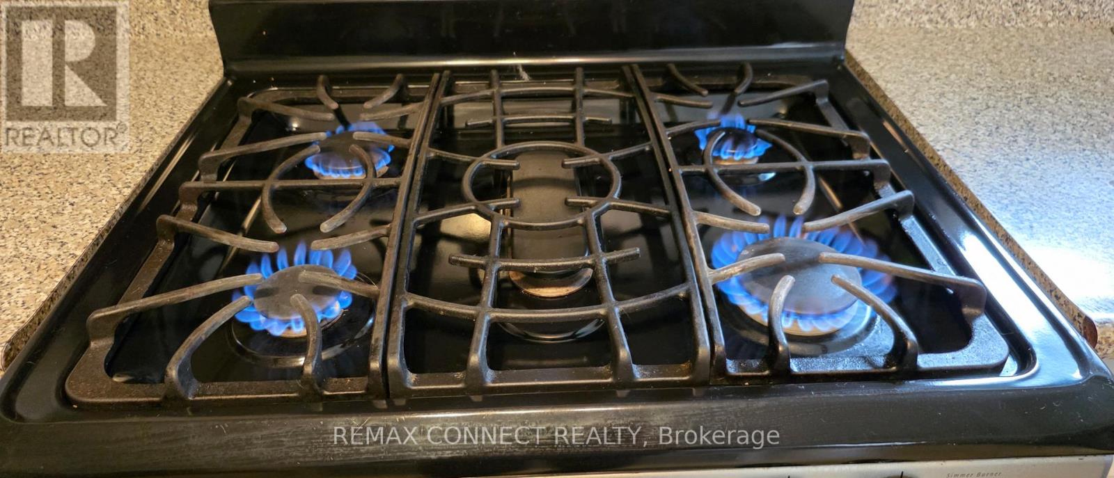 167 Wallace Avenue, Toronto, Ontario  M6H 1V1 - Photo 8 - W12979772