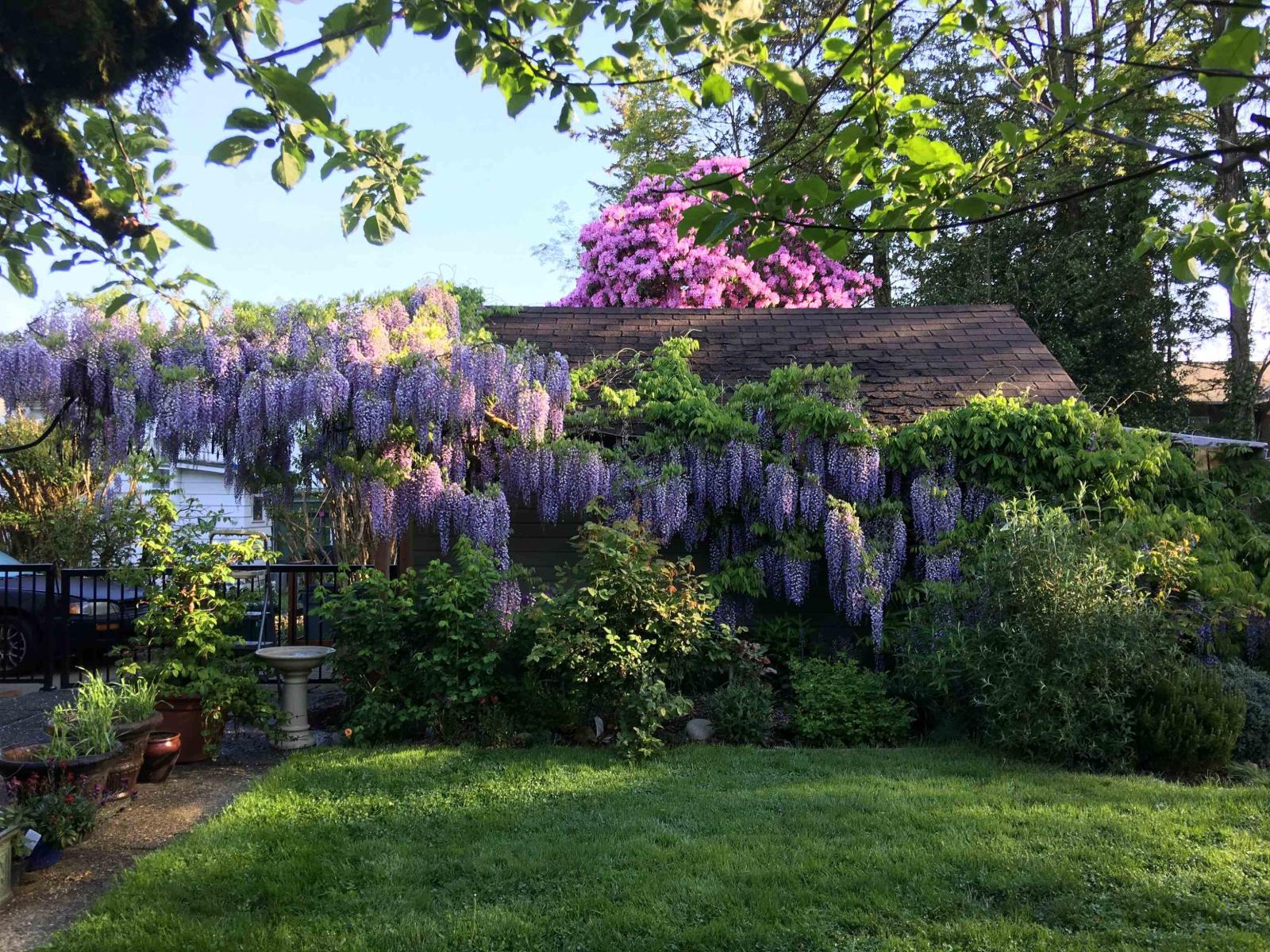 2730 Maple Street, Abbotsford, British Columbia  V2S 3Y6 - Photo 33 - R3108783