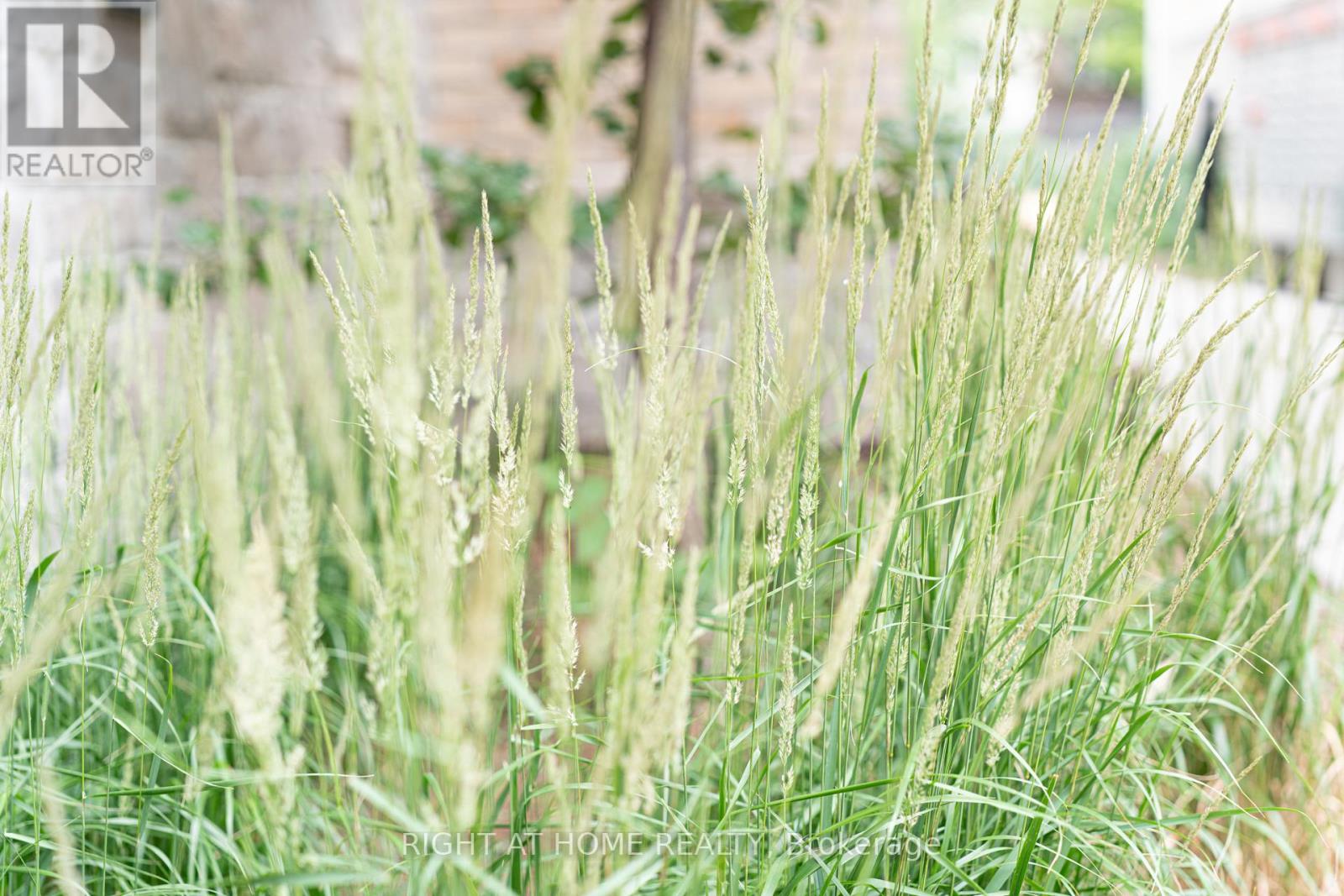 26 - 39 Drewry Avenue, Toronto (Newtonbrook West), Ontario  M2M 0B4 - Photo 21 - C12980278