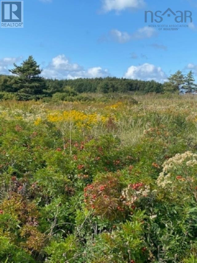 Highway 19 Highway, Long Point, Nova Scotia  B0E 1P0 - Photo 23 - 202606850