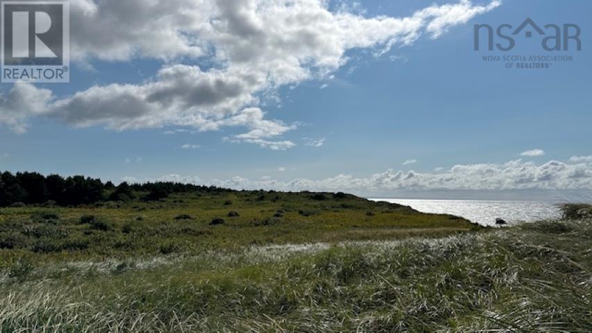 Highway 19 Highway, Long Point, Nova Scotia  B0E 1P0 - Photo 22 - 202606850