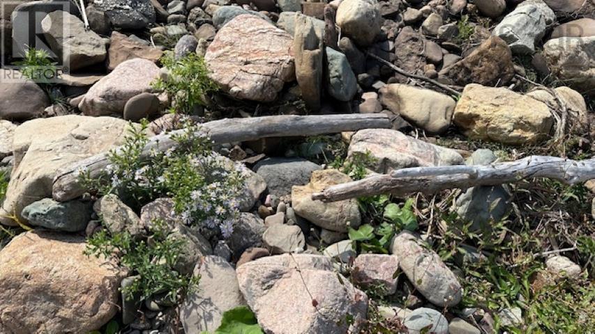 Highway 19 Highway, Long Point, Nova Scotia  B0E 1P0 - Photo 24 - 202606850