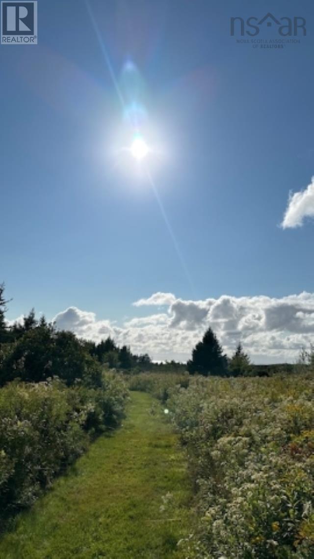 Highway 19 Highway, Long Point, Nova Scotia  B0E 1P0 - Photo 19 - 202606850