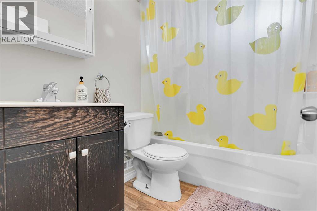 4224 Worcester Drive Sw, Calgary, Alberta  T3C 3L4 - Photo 30 - A2290587