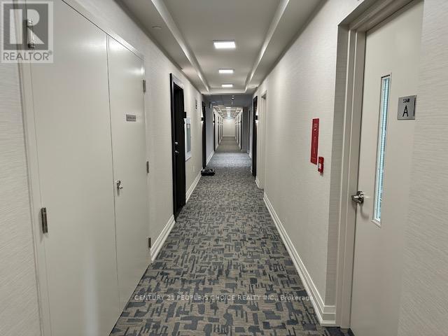 703 - 212 King William Street, Hamilton, Ontario  L8R 3P2 - Photo 7 - X12980314