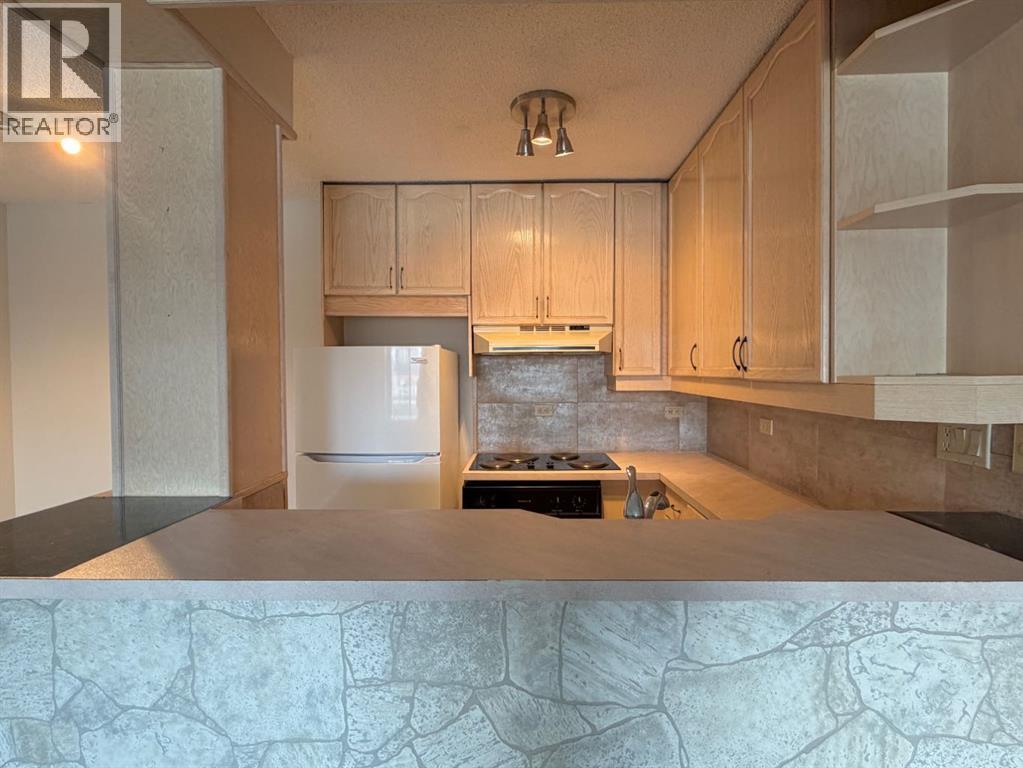 501, 903 19 Avenue SW, Calgary, Alberta T2T 0H8 - Photo 10 - A2298273